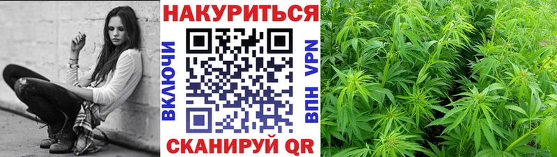 где купить наркотик  Княгинино  mega ONION  Шишки марихуана VHQ 